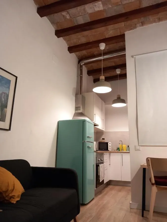Modern Apartm Near Picasso Museum Barcelona Apartment
